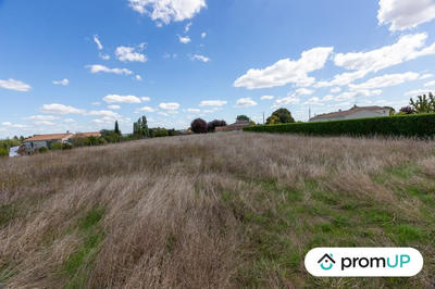 Terrain agricole - 3 000 m²
