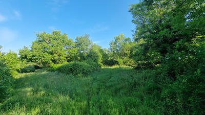 Maison - 170 m² - 10 pièces