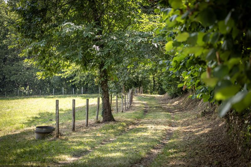 Maison - 320 m² - 8 pièces