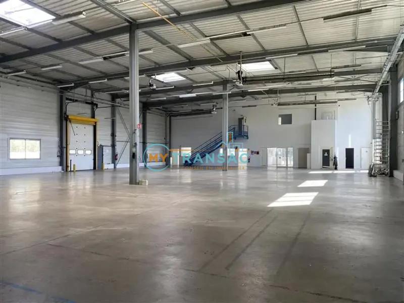 Local d'activité / Entrepôt - 1 375 m²