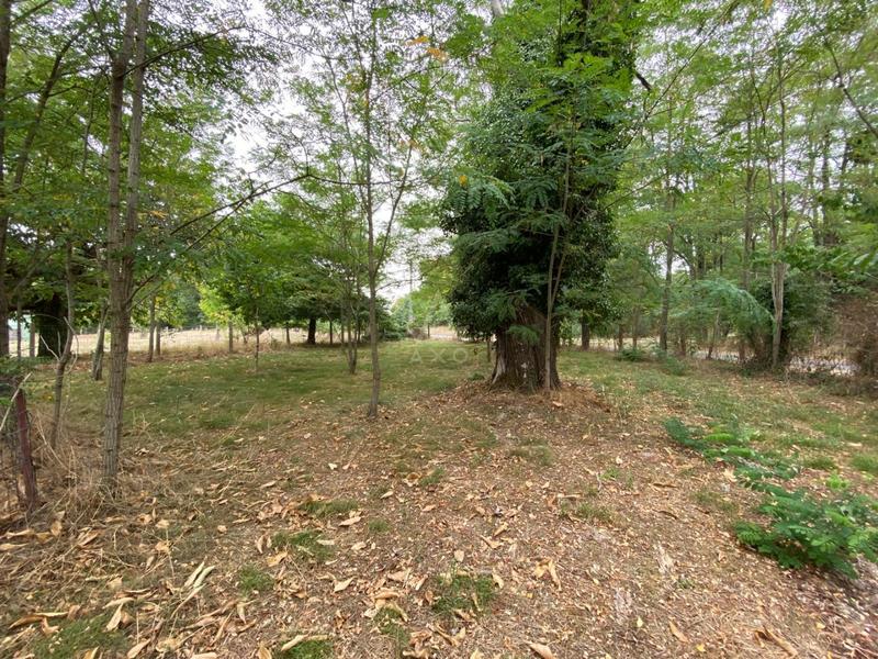 Maison - 147 m² - 7 pièces