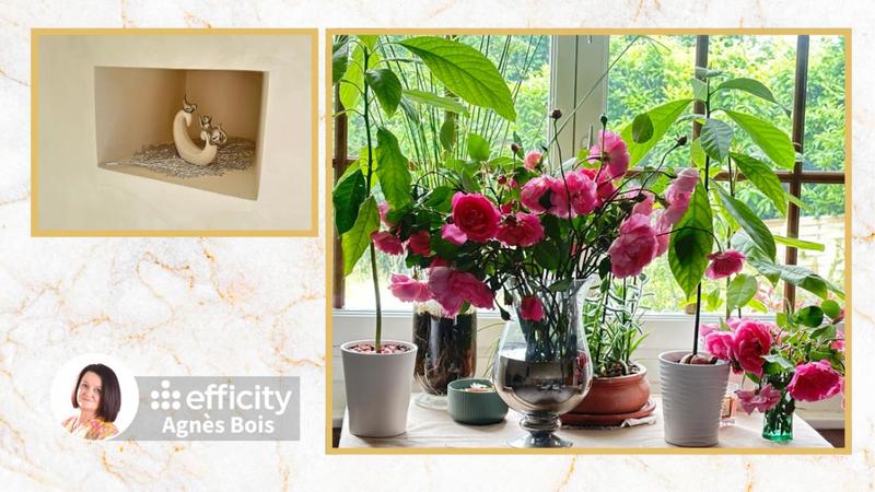 Maison - 297 m² - 7 pièces