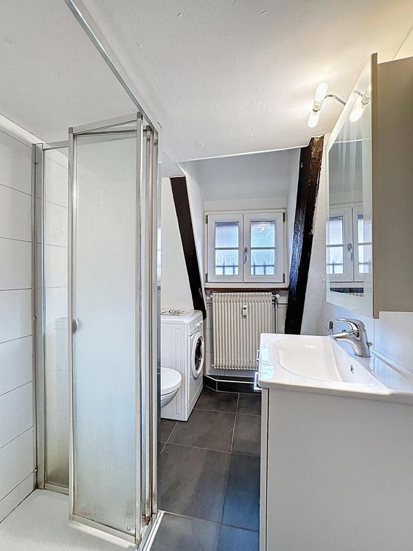 Duplex - 46 m² - 2 pièces