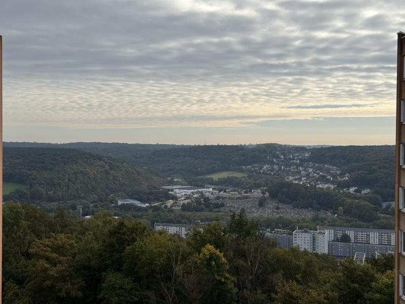 Appartement ancien - 67 m² - 3 pièces