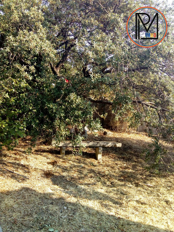 Villa - 165 m² - 12 pièces