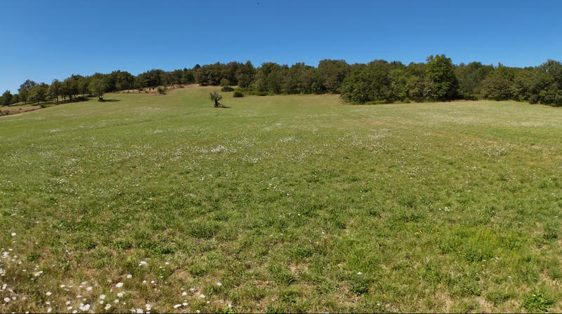 Terrain - 21 356 m²