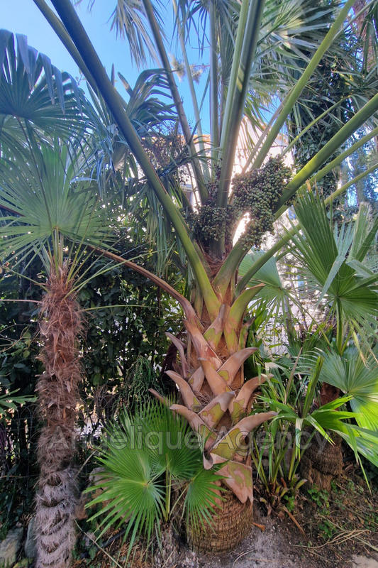 Maison - 126 m² - 6 pièces