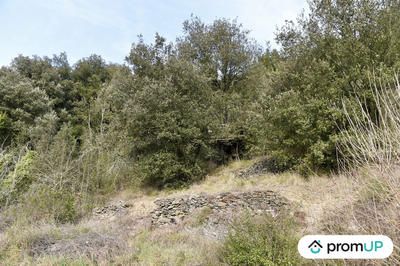 Terrain agricole - 2 780 m²