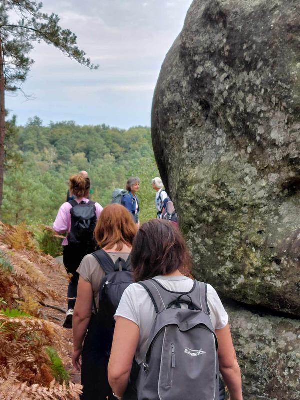 Randonnée en forêt de Fontainebleau : les gorges de Franchard