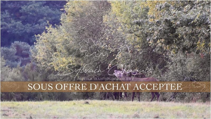 Propriété - 1 060 m² - 16 pièces