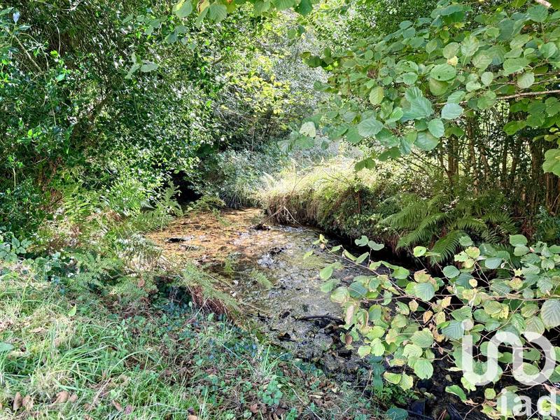 Maison - 124 m² - 4 pièces