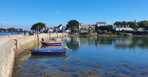 Chambre - 20 m² - 1 pièce