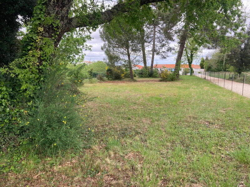 Terrain constructible - 964 m²