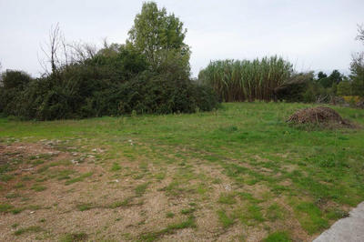 Maison - 122 m² - 3 pièces