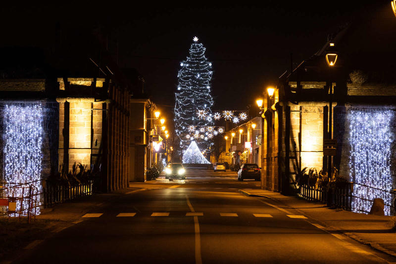 Chasse aux trésors de Noël : l'artiste anonyme de la Cité Vauban