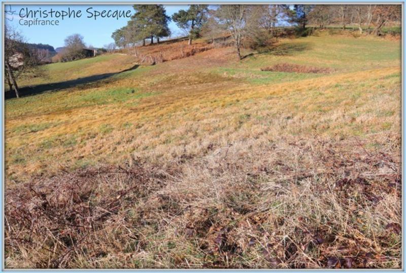 Terrain constructible - 4 945 m²