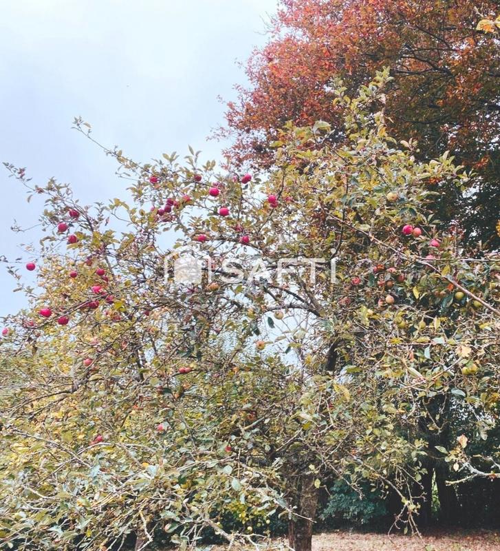 Maison - 116 m² - 5 pièces