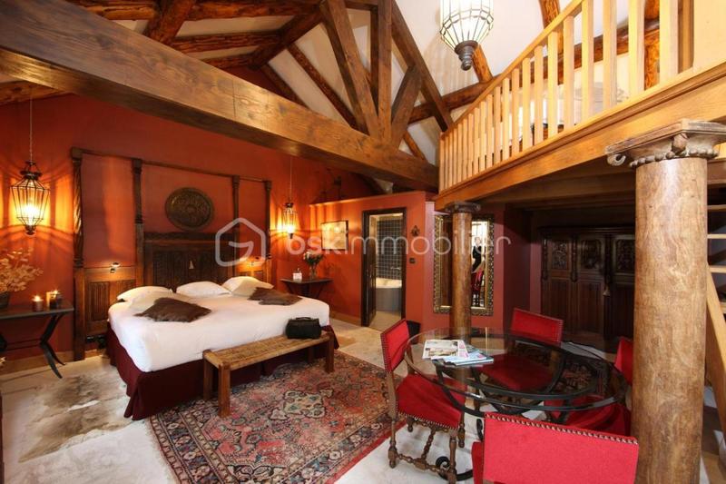 Château - 700 m² - 21 pièces