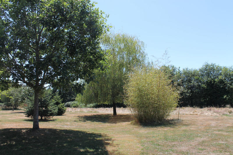 Maison - 124 m² - 9 pièces