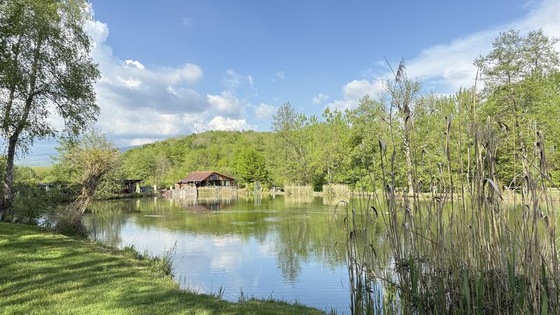 Terrain - 13 420 m²