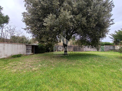 Terrain - 557 m²
