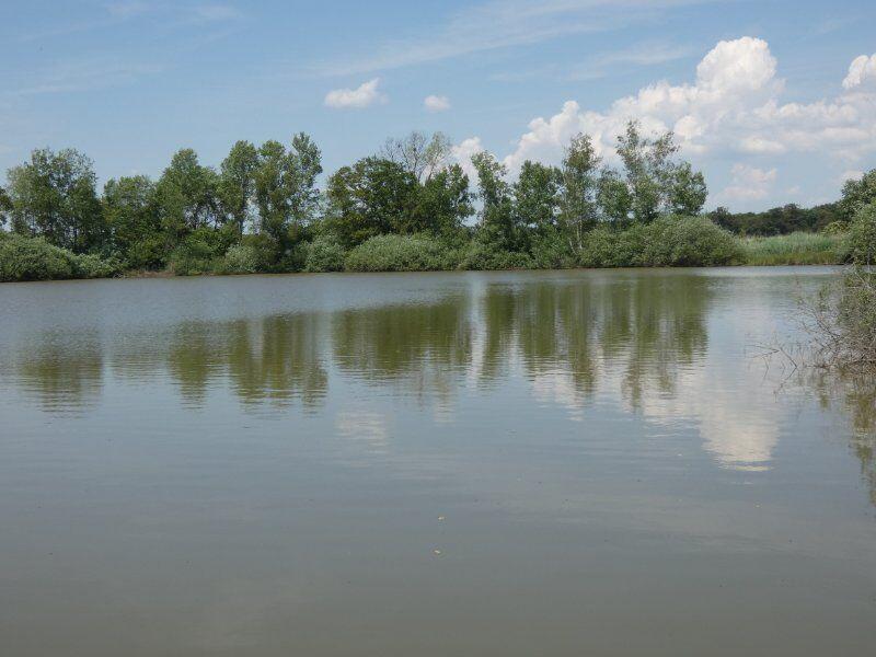 Terrain agricole - 22 000 m²