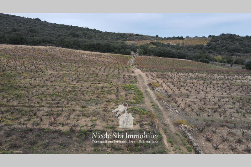 Terrain agricole - 29 300 m²