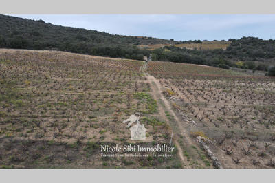 Terrain agricole - 29 300 m²