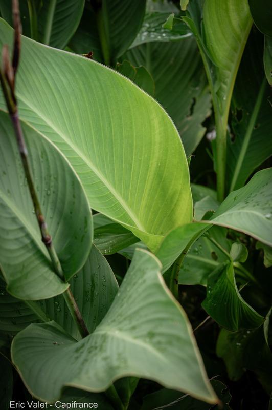 Villa - 230 m² - 6 pièces