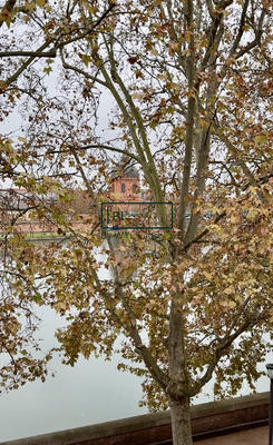 Appartement - 74 m² - 4 pièces