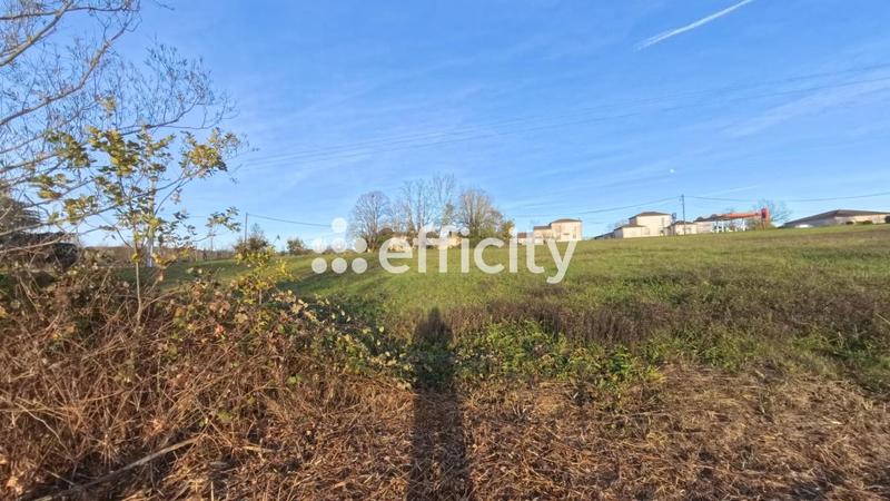 Terrain - 14 992 m²
