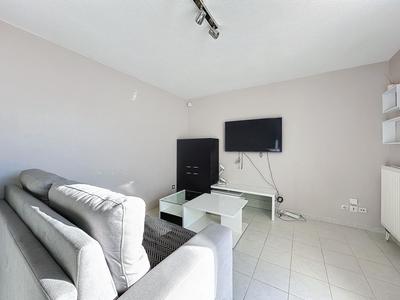 Studio - 24 m² - 1 pièce