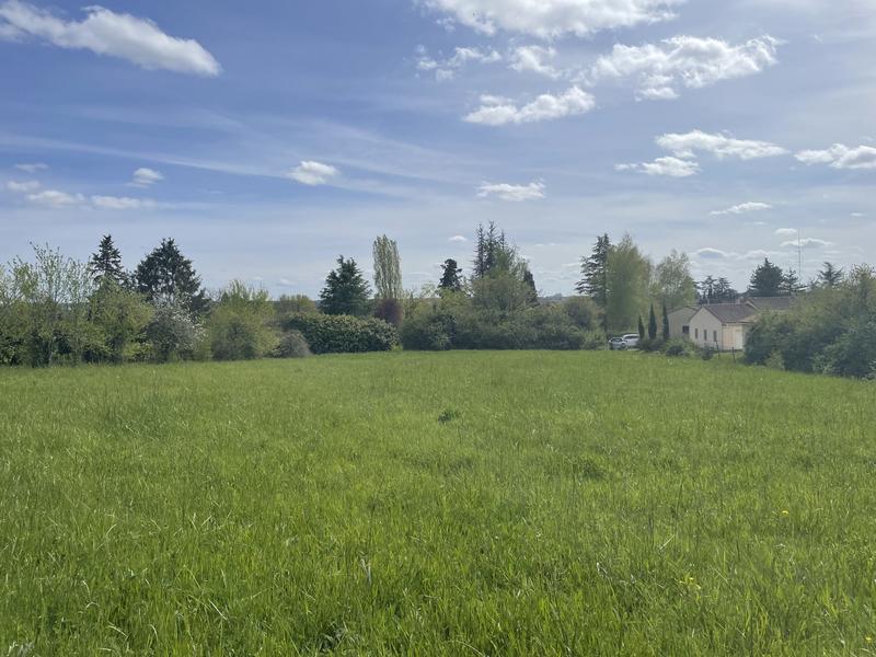 Terrain agricole - 2 843 m²