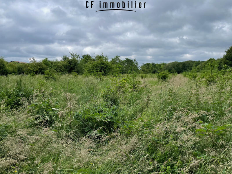 Maison - 28 m² - 2 pièces