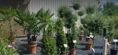 Ossant Sébastien Paysages