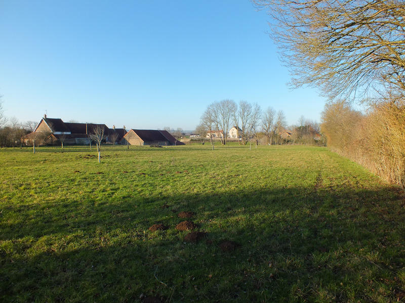 Terrain constructible - 5 990 m²
