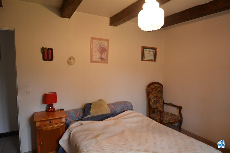 Viager - Maison ancienne - 115 m² - 5 pièces