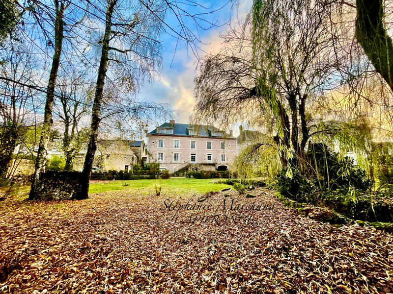 Hôtel particulier - 452 m² - 19 pièces