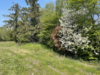 Terrain constructible - 397 m²