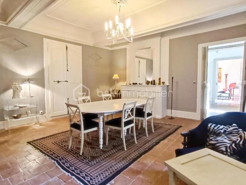 Hôtel particulier - 247 m² - 6 pièces