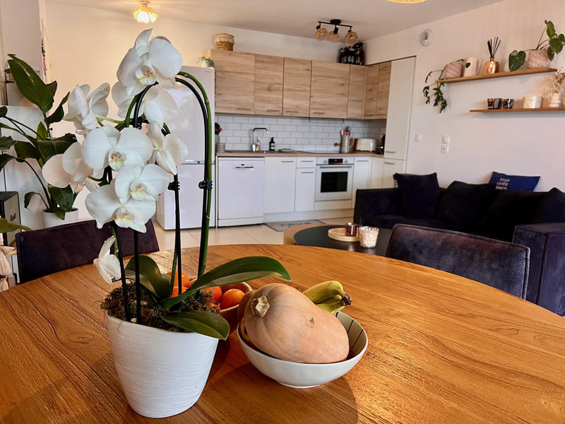 Appartement - 58 m² - 3 pièces