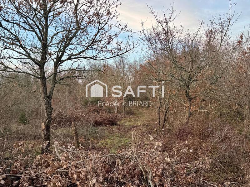 Terrain agricole - 2 574 m²