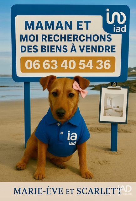 Local commercial - 500 m²