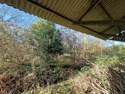 Longère - 75 m² - 4 pièces