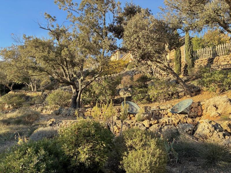 Maison en pierre - 142 m² - 6 pièces