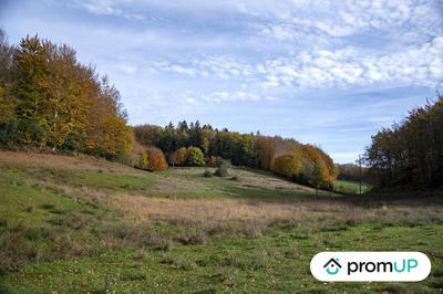 Terrain agricole - 30 568 m²