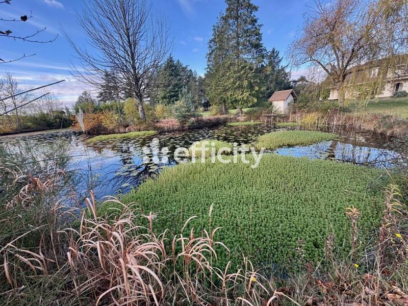 Demeure - 342 m² - 8 pièces