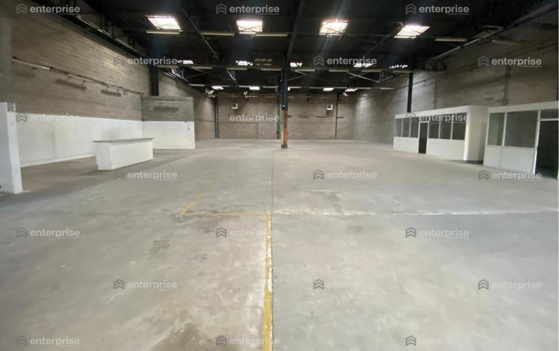 Local d'activité / Entrepôt - 913 m²