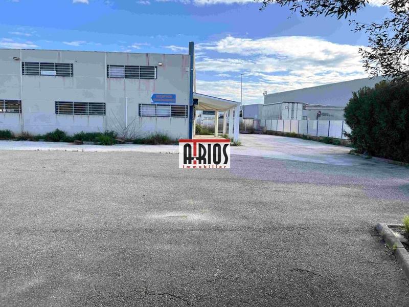 Local d'activité / Entrepôt - 1 915 m²
