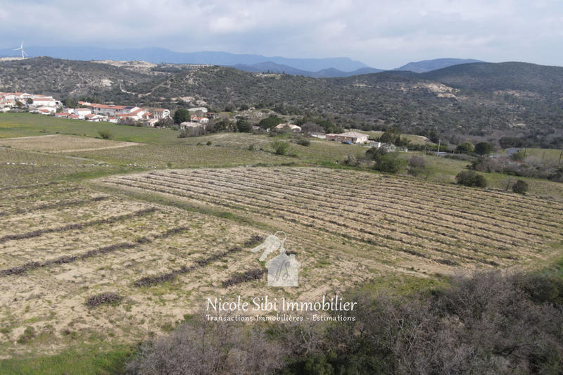 Terrain agricole - 11 155 m²